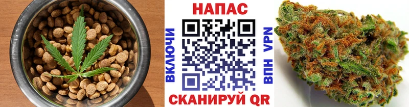Cannafood марихуана  площадка телеграм  Кизилюрт 
