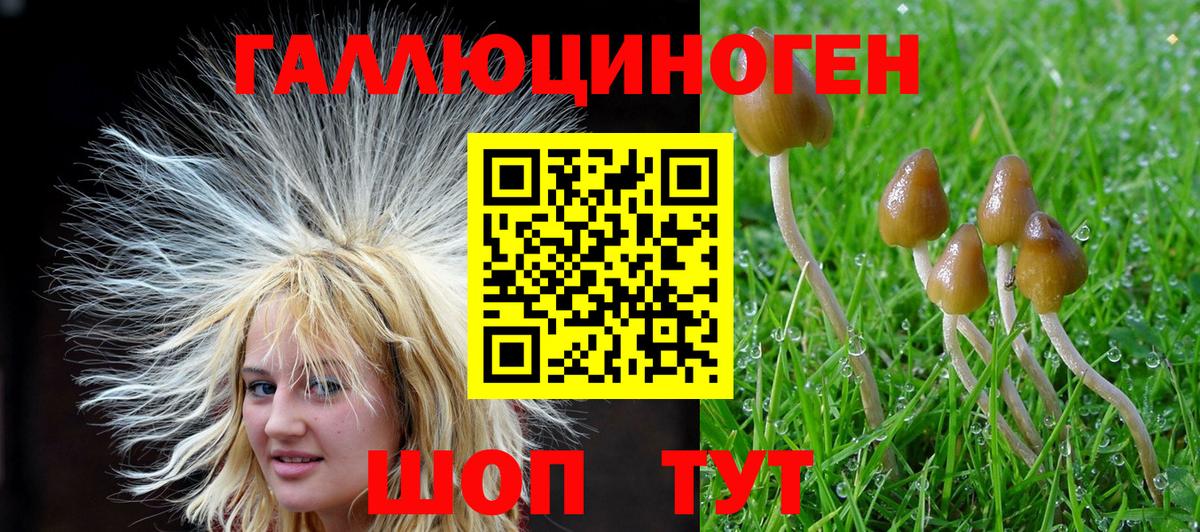 Кизилюрт  Псилоцибиновые грибы Magic Shrooms  Вход с VPN 